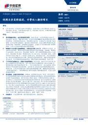 2019年中报点评:视频业务高歌猛进,付费收入翻倍增长