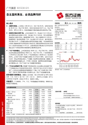 自主盈利承压，合资品牌向好