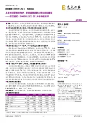 2019年中报点评：上半年经营情况向好，多渠道融资助力炼化项目建设