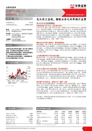 龙头实力显现,锡锭业务毛利率提升显著