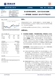 2019年半年报点评：多业务线快速增长，龙头内生动力强劲