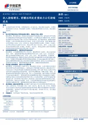 2019年中报点评：收入持续增长，前瞻性研发有望助力公司持续成长