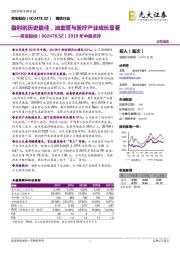 2019年中报点评：盈利创历史最佳，油套管与医疗产业成长显著