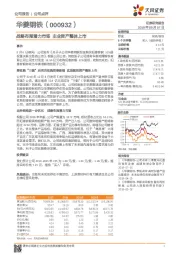 战略布局潜力市场 主业资产整体上市