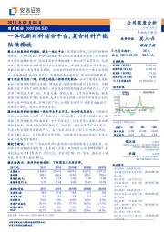 一体化新材料综合平台，复合材料产能陆续释放