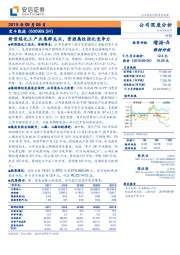 新型煤化工产业集群龙头，资源属性强化竞争力