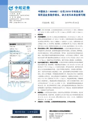 2019半年报点评：军民品业务稳步增长，动力龙头未来业绩可期