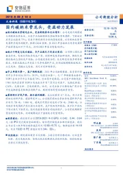 国内碳纳米管龙头，受益动力发展