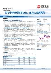 国内特种照明领军企业，差异化发展典范