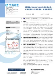 2019年半年报点评：产业资源进一步优化整合，未来业绩可期