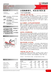 业绩稳健增长，现金流仍需改善