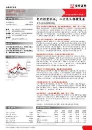 电网投资承压，二次龙头稳健发展
