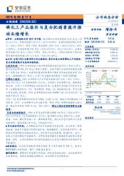 磷化工产品涨价与复合肥销量提升推动业绩增长