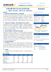 公司研究报告：多重政策利好下行业龙头再度启航——渗透率、集中度提升，政策大力支持，创新业务发力