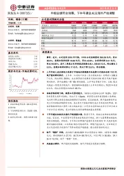 中报业绩符合预期，下半年建议关注海外产线调整