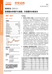 资源整合持续扩大版图，打造国内分销龙头