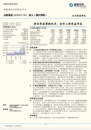 黄金资源禀赋优异，金价上涨受益明显