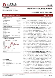 公司点评报告：铂金或成为公司发展的重要推动力