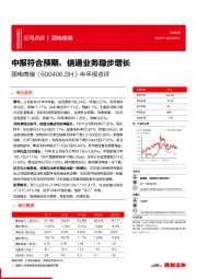 半年报点评：中报符合预期，信通业务稳步增长