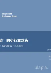 深度报告：“双轮驱动”的小行业龙头
