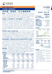 抓机遇，提速度，Q2业绩超预期