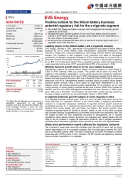 Positive outlook for the lithium battery business;potential regulatory risk for the e-cigarette segment