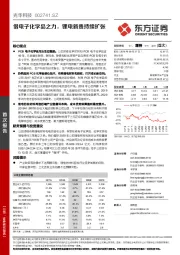 借电子化学品之力,锂电新贵持续扩张