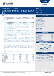 重大事项点评：拟募集3亿转债研发芯片，有望充分受益国产替代