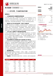 内外并举，产业链布局逐步完整