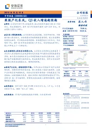 乘国产化东风,Q3收入增速超预期