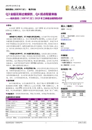 2019年三季报业绩预告点评：Q3业绩无需过度担忧，Q4拐点有望来临