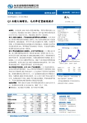 Q3业绩大幅增长，毛利率有望继续提升