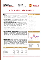 国资老树开新花,醋酸龙头弹性大