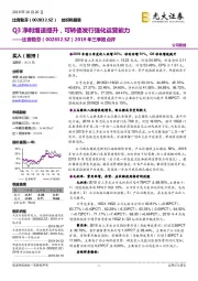2019年三季报点评:Q3净利增速提升,可转债发行强化运营能力