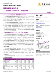 首次覆盖报告：硅基新材料龙头企业