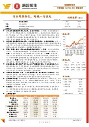 深度报告：行业两极分化，玲珑一马当先