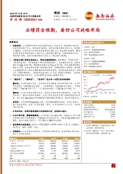 业绩符合预期,看好公司战略布局