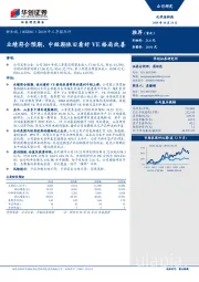 2019年三季报点评：业绩符合预期，中短期依旧看好VE格局改善