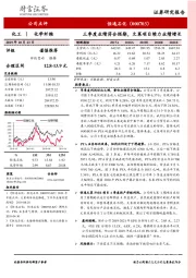 三季度业绩符合预期,文莱项目续力业绩增长