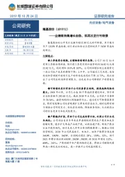 业绩维持高增长态势,拟再次发行可转债