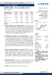 业绩符合预期，多元化发展提升竞争力