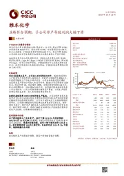 业绩符合预期，子公司停产导致利润大幅下滑