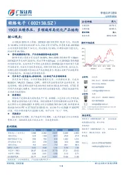 19Q3业绩承压，多领域布局优化产品结构