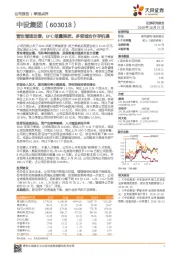 营收增速放缓，EPC缩量提质，多领域合作存机遇