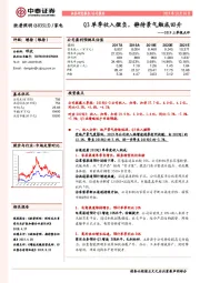 2019三季报点评:Q3单季收入微负,静待景气触底回升