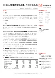 2019年三季报点评：Q3收入端增速略有放缓，利润持续兑现