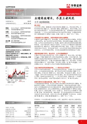 业绩高效增长，尽显王者风范