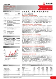 CA龙头，商密+网安双重利好
