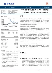 2019年3季报点评：KN-R价格进入底部区域，医药业务稳健成长