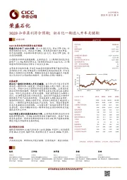 3Q19扣非盈利符合预期；浙石化一期进入开车关键期